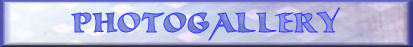 Photo Gallery