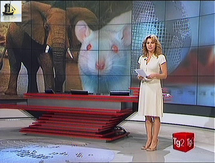 Manuela Moreno