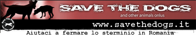 Save The Dogs ha bisogno del nostro aiuto